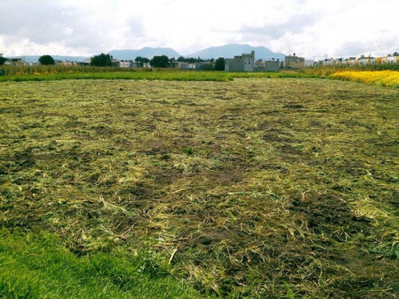 Foto Terreno en Venta en Calimaya de Díaz González, Mexico - $ 1.200 - TEV87401 - BienesOnLine