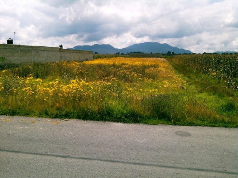 Foto Terreno en Venta en Calimaya de Díaz González, Mexico - $ 900 - TEV87404 - BienesOnLine