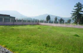 Foto Terreno en Venta en Tecaxic, Toluca de Lerdo, Mexico - $ 38.500.000 - TEV135955 - BienesOnLine