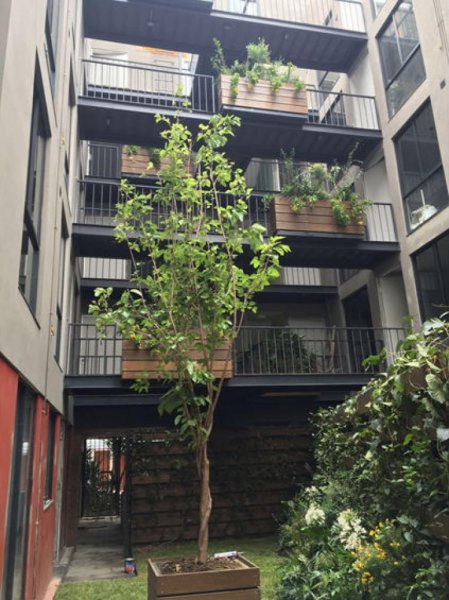 Foto Departamento en Venta en Insurgentes Mixcoac, Benito Juárez, Distrito Federal - $ 2.700.000 - DEV188816 - BienesOnLine