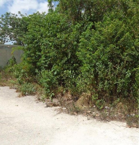 Terreno en Venta en  Framboyanes, Veracruz