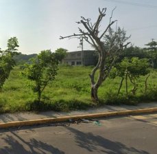 Terreno en Venta en ANTON LIZARDO Alvarado, Veracruz