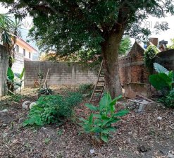 Terreno en Venta en Potrerillo I Ixtaczoquitlán, Veracruz