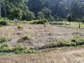 Venta de terrenos escriturados cerca de la entrada a Teocelo