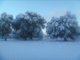 Terreno en Venta en Rancho Santa Veronica Tecate, Baja California