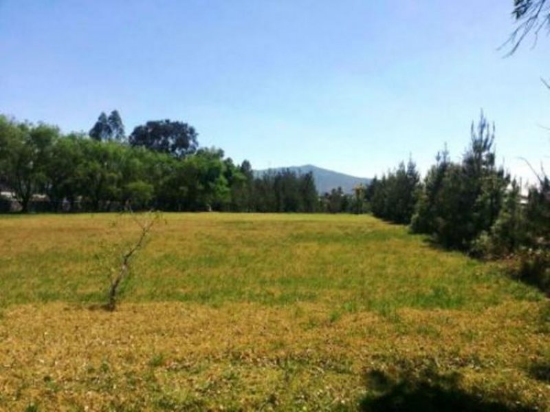 Foto Terreno en Venta en jolotepec, Jilotepec de Molina Enríquez, Mexico - $ 800 - TEV143010 - BienesOnLine